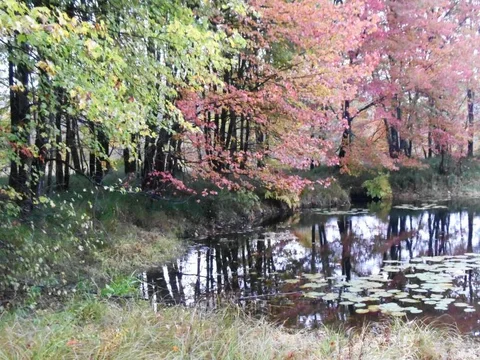 DSC02187.jpg