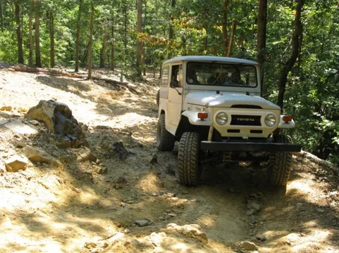 mejane rides.webp