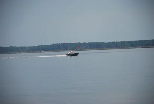 007.JPG 007.JPG