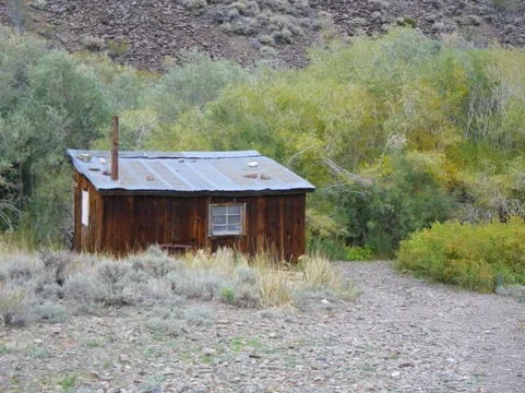 Old Cabin.webp