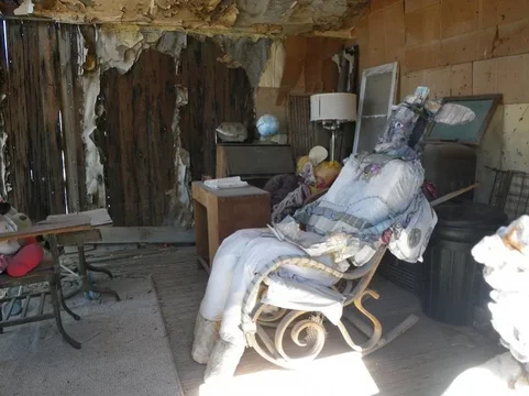 Darwin Creepy House.webp