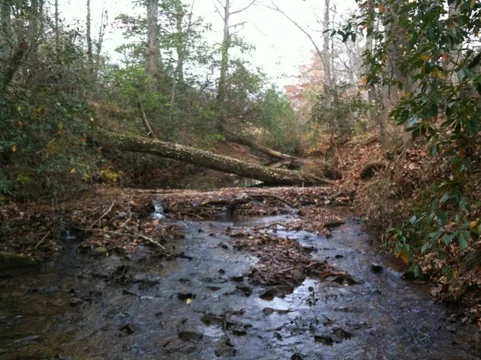 image-4170828079.webp