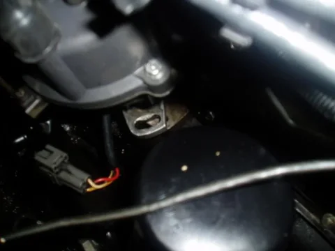 P1010170.webp
