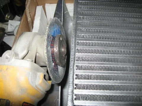 008 (Medium)cut.webp