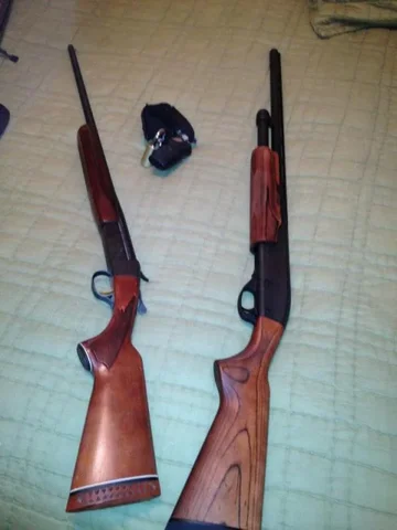 guns.webp