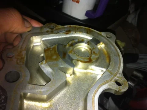 image-3918404525.webp
