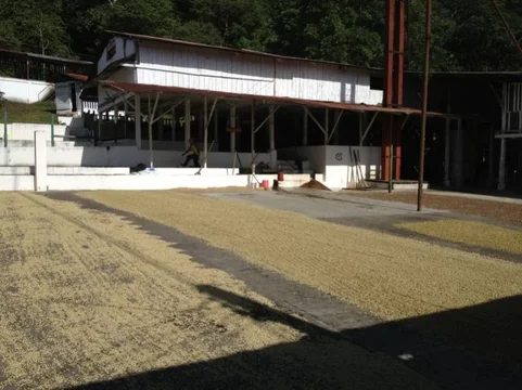 image-679573459.webp