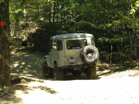 mejane rear trail.webp