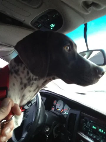 image-1770643606.webp