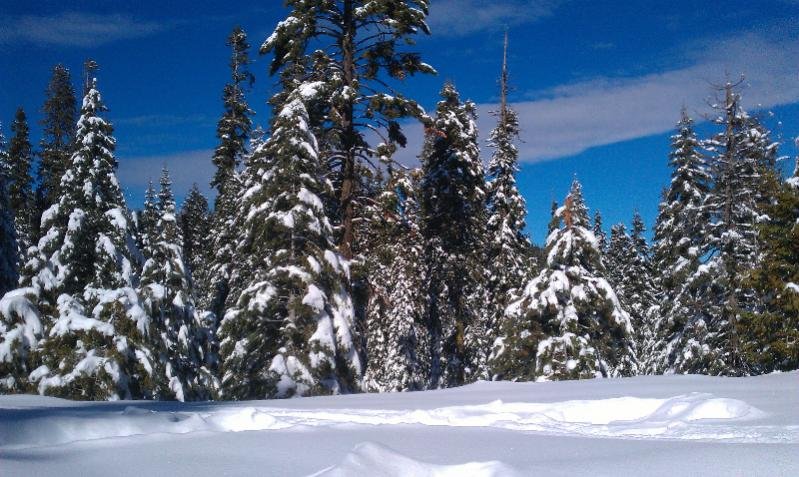 ForumRunner_20130102_191127.jpg