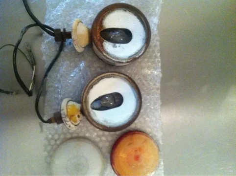 image-1355601497.webp