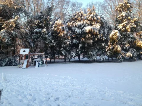 image-2943963659.webp