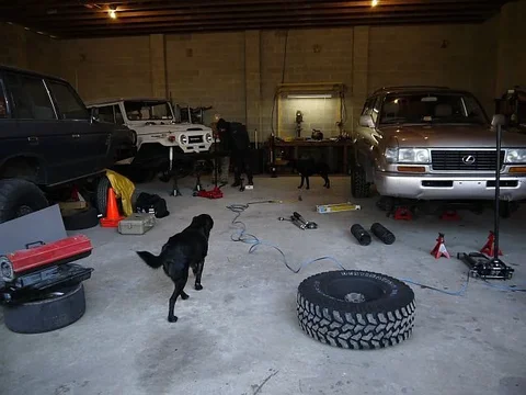 hamom early start.webp