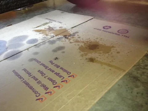 image-3551657545.webp