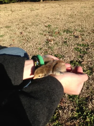 image-1281972605.webp