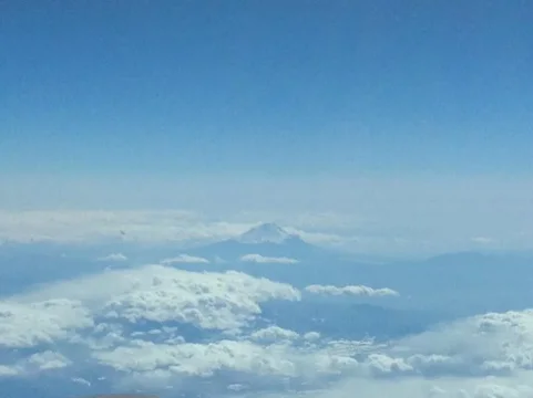 image-157044022.webp