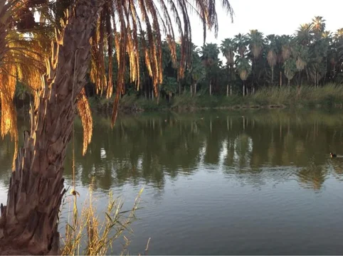 image-1626788647.webp