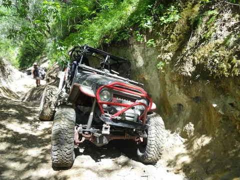 horse trailer_965.webp