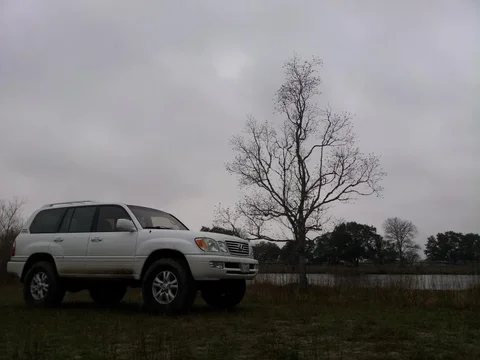 IMG_20130220_173001.jpg