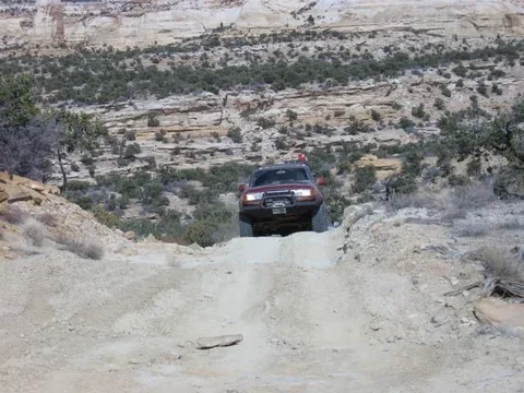 Eric on some hill.webp