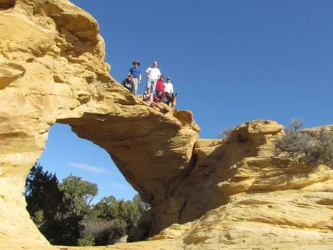 Dutchman's arch.webp