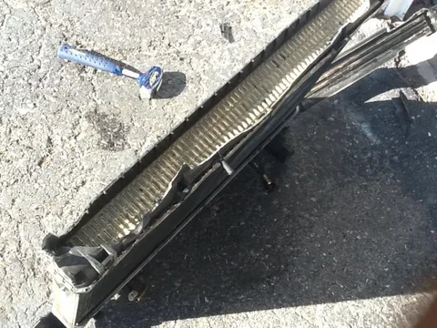 rad4.jpg