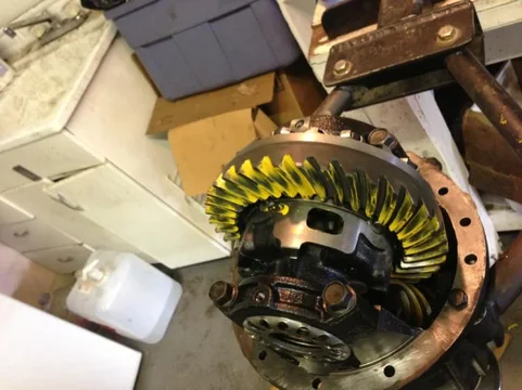 image-16633825.jpg