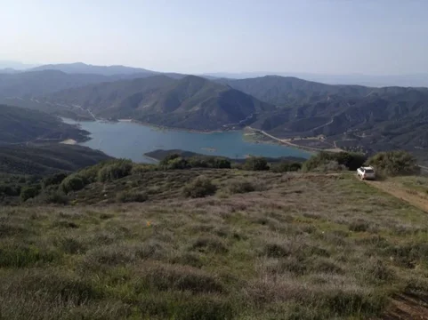 image-573495683.webp