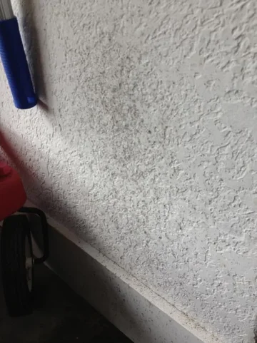image-4165534277.webp