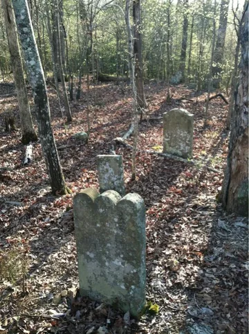 image-465991981.webp