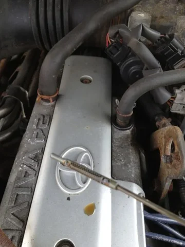image-1014845809.webp