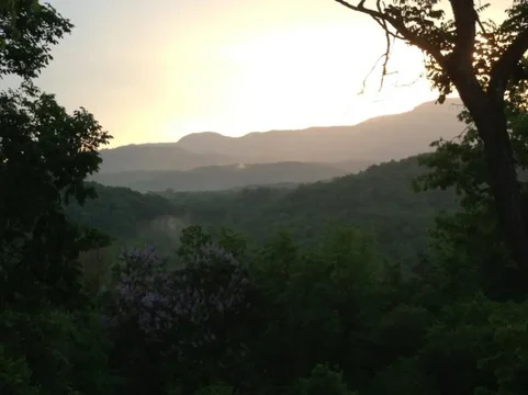 image-3627238148.webp