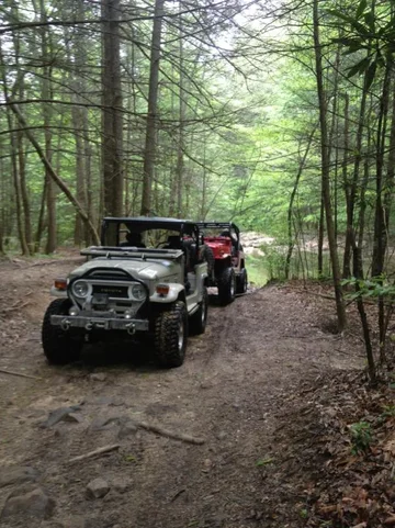image-1470982785.webp