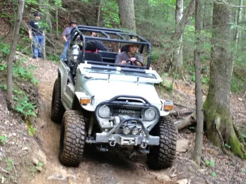 image-749080220.webp
