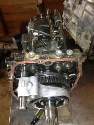 image-3080286411.webp