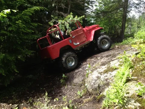 image-1315702929.webp