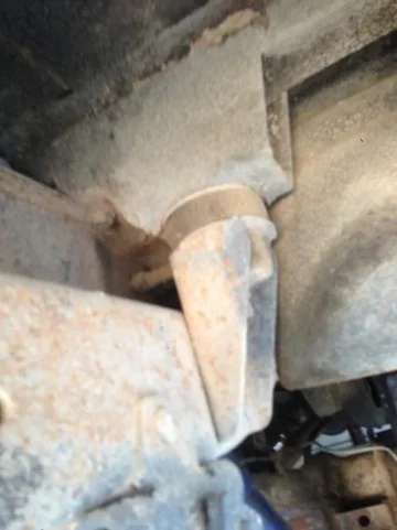 image-3198206182.webp