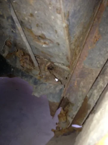 image-1389139823.webp