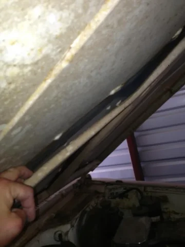 image-4268182696.webp