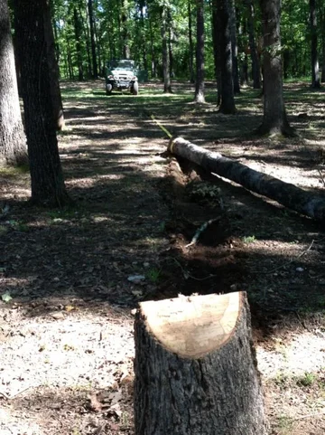 image-1604927190.webp
