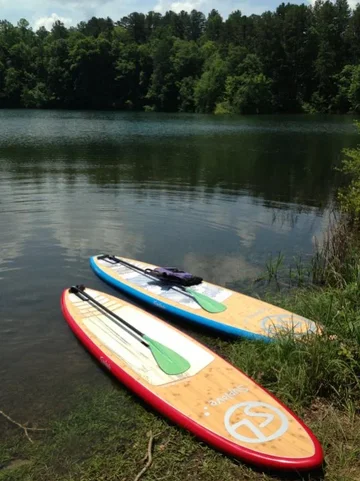 image-4181625516.webp