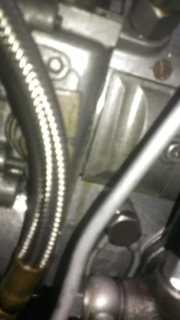 IMAG0305.webp IMAG0305.webp