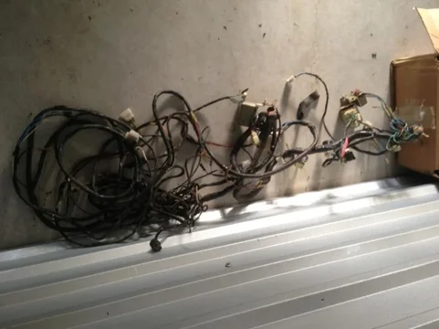 image-2339994043.jpg