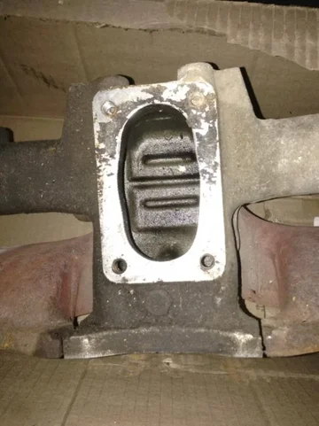 image-3669394694.jpg