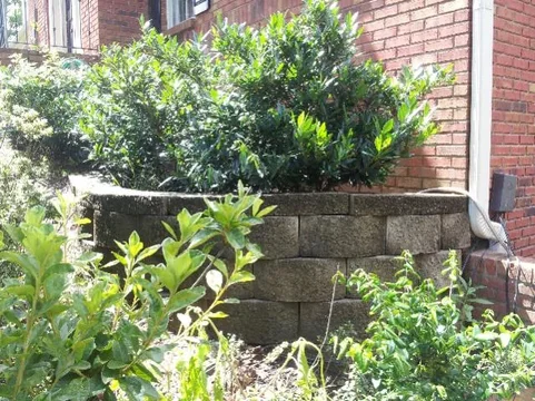 ForumRunner_20130708_112723.jpg
