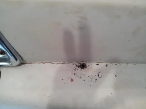 image-3654810744.webp