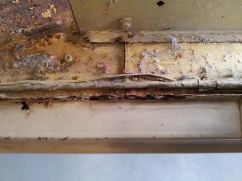 image-208569873.jpg