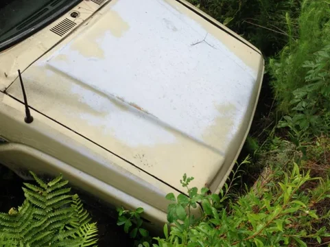 image-1971320763.webp