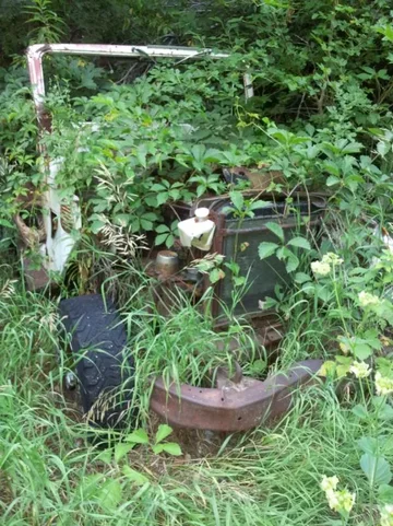 image-3845462613.webp