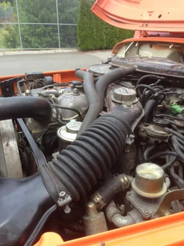 image-1919469114.webp